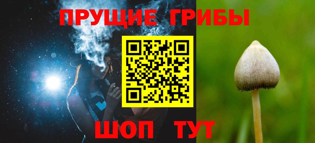 Югорск  Псилоцибиновые грибы Cubensis  Вход с VPN  Галлюциногенные грибы мухоморы 
